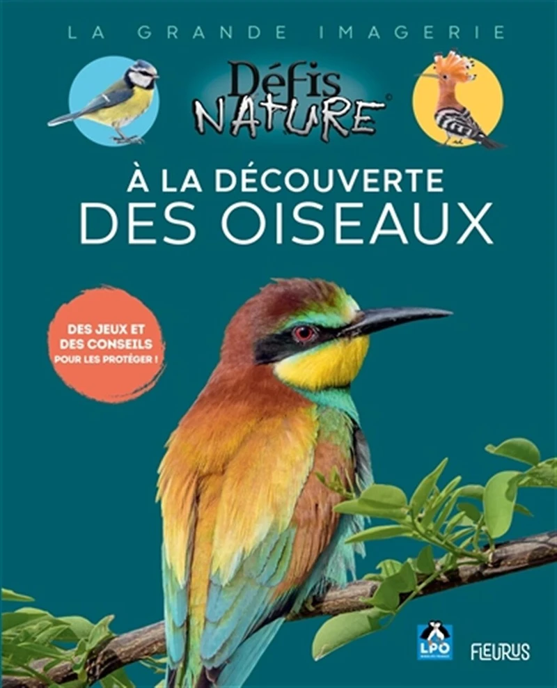 A la découverte des oiseaux: des jeux et des conseils pour les protéger !