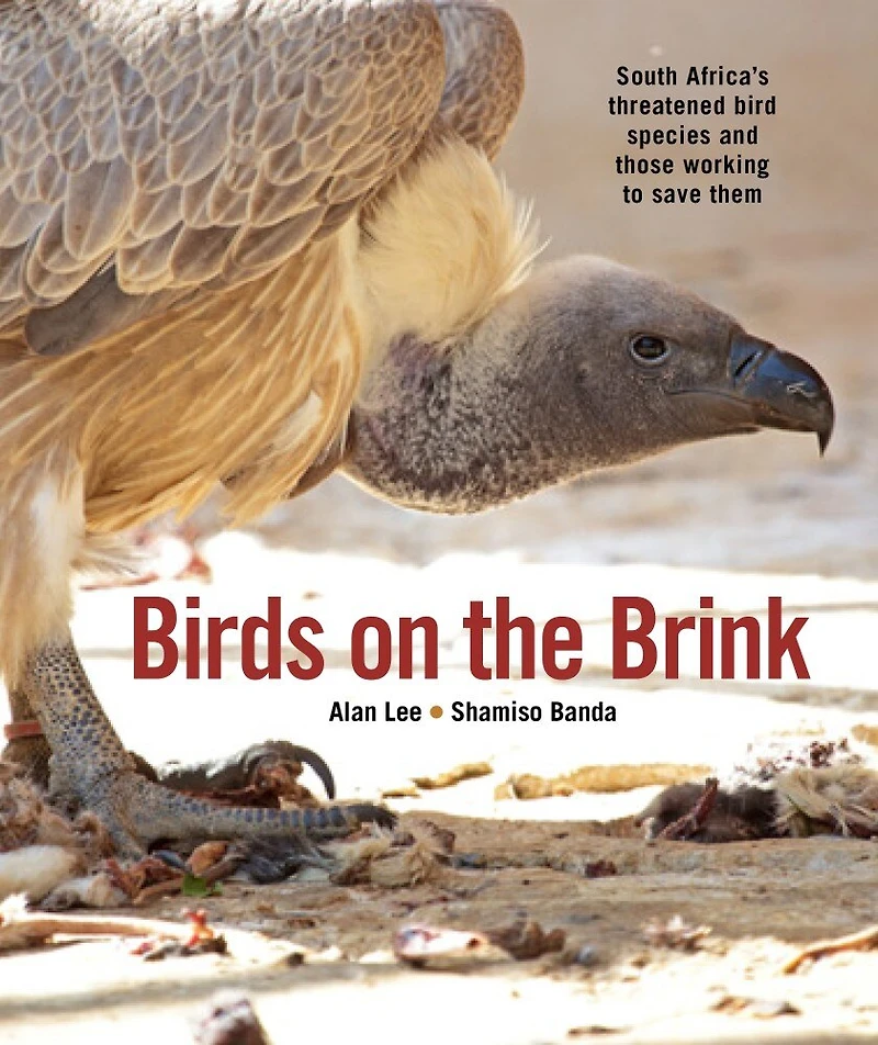 birds on the Brink: South Africa's threatened and those working to save them