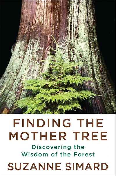 Finding the Mother Tree: Discovering Wisdom of Forest