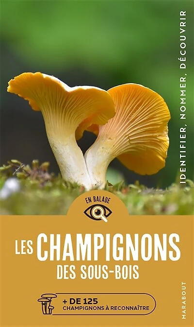Les champignons des sous-bois: + de 125 champignons à reconnaître