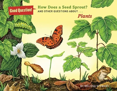 How Does A Seed Sprout?: And Other Questions About Plants