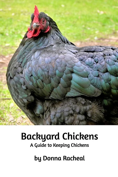 Backyard Chickens: A guide to keeping chickens