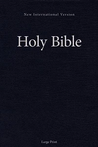 Niv, Holy Bible, Larger Print, Paperback