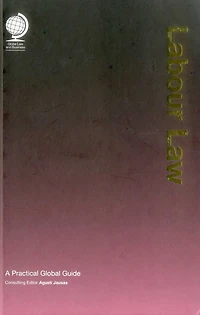 Labour Law: A Practical Global Guide