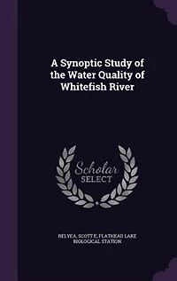 A Synoptic Study of the Water Quality Whitefish River