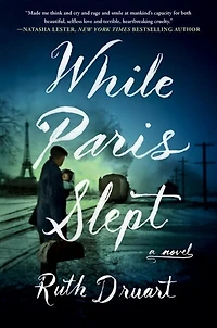 WHILE PARIS SLEPT: A Novel