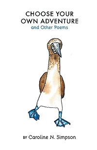 Choose Your Own Adventure and Other Poems