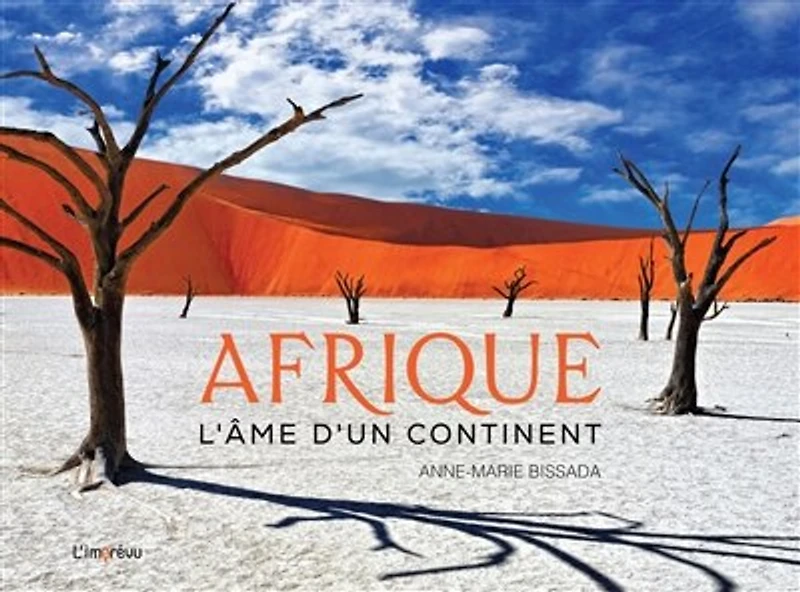 Afrique: l'âme d'un continent