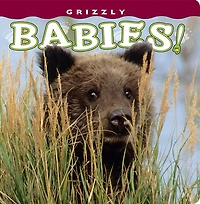 Grizzly Babies!
