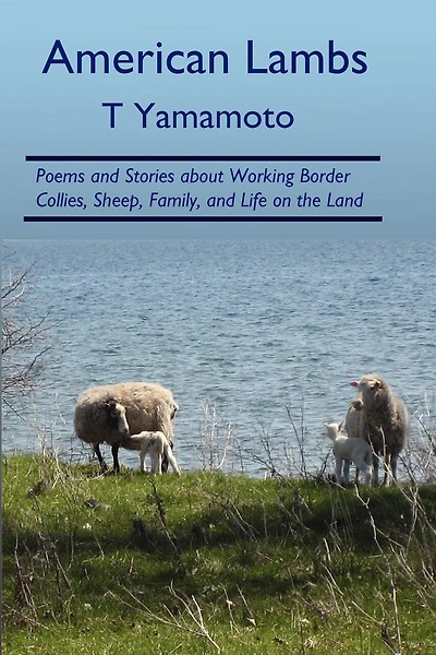 American Lambs: Poems and Stories about Working Border Collies, Sheep, Family,