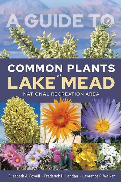 A Guide to Common Plants of Lake Mead National Recreation Area
