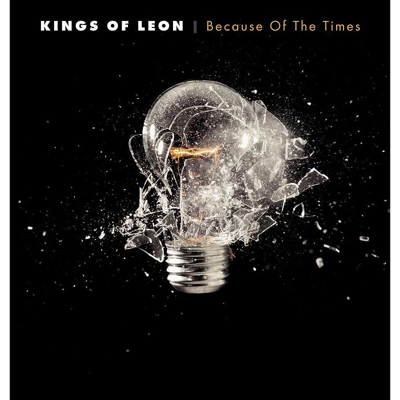 Because Of The by Kings Of Leon (2 LPs)