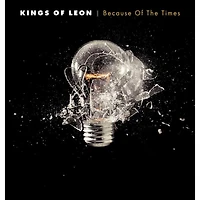 Because Of The by Kings Of Leon (2 LPs)