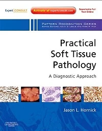 Practical Soft Tissue Pathology: A Diagnostic Approach E-Book: Volume the Pattern Recognition Series