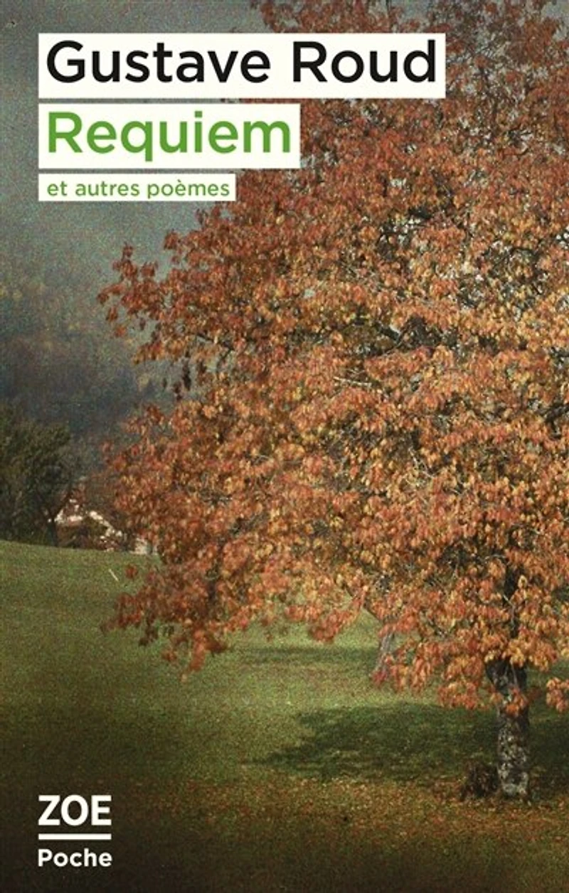 Requiem : et autres poèmes: poèmes