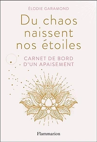 Du chaos naissent nos étoiles: carnet de bord d'un apaisement