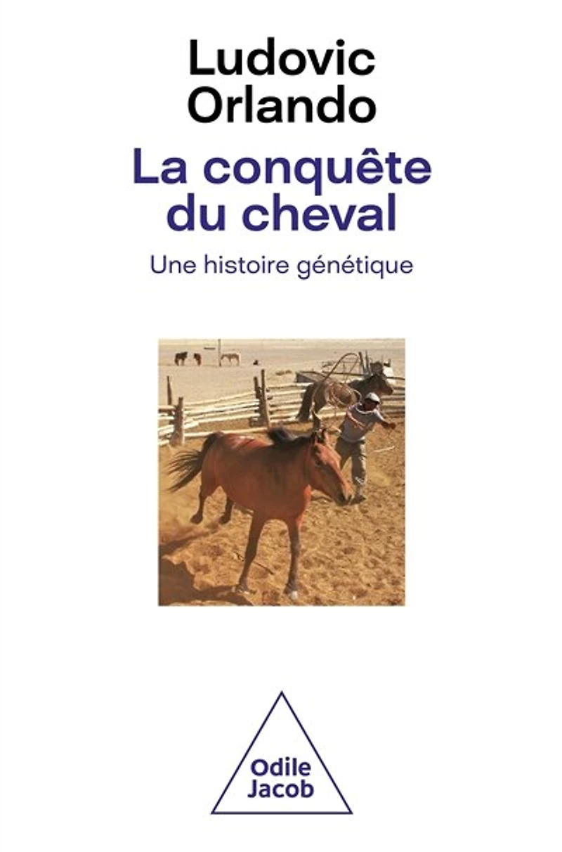 La conquête du cheval: une histoire génétique