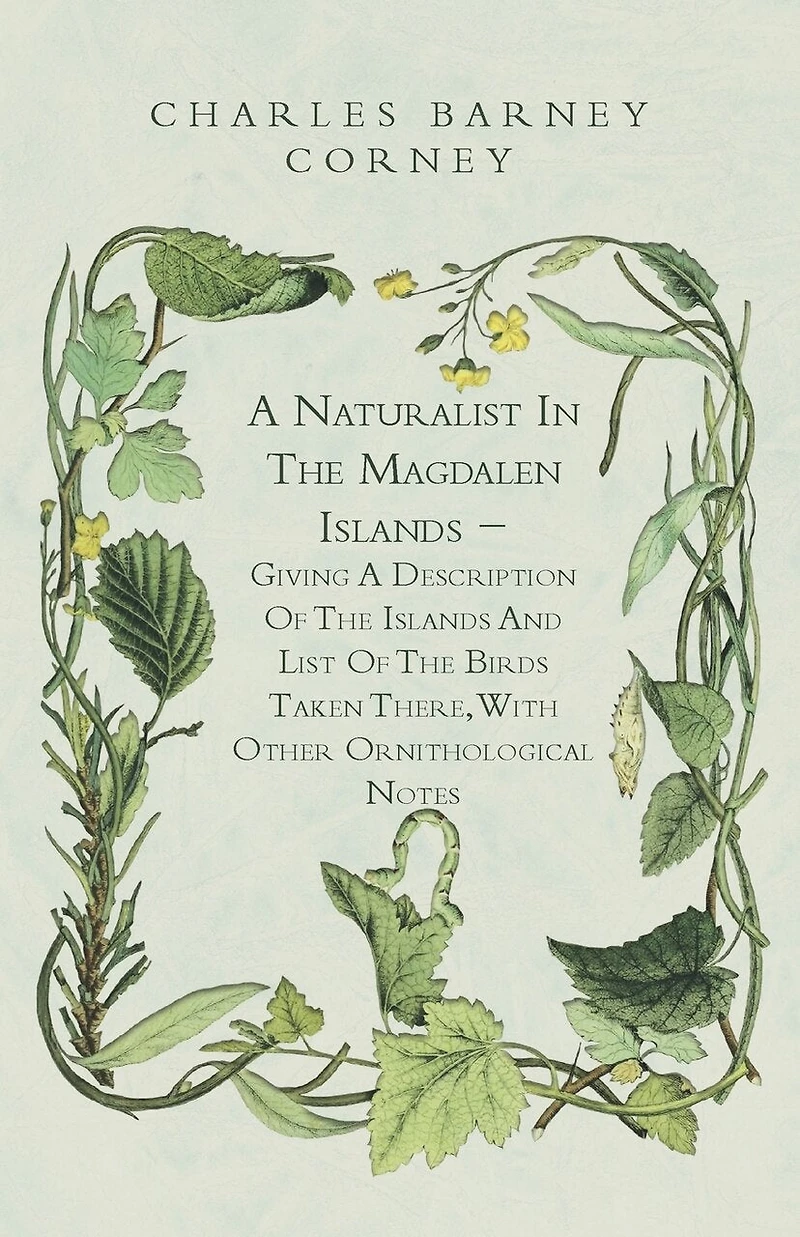 A Naturalist In The Magdalen Islands - Giving A Description Of The Islands And List Of The Birds Taken There, With Other Ornithological Notes
