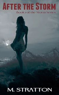After the Storm: Book 1 in the Storm Series
