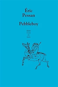 Pebbleboy: les histoires extraordinaires du garçon aussi dur qu'une pierre