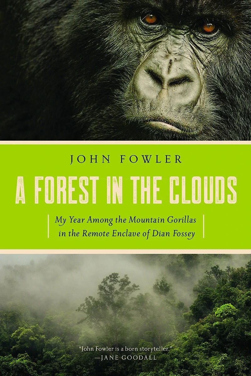 A Forest the Clouds