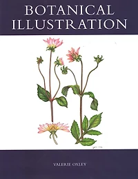 Botanical Illustration