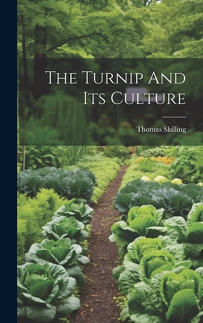 The Turnip And Its Culture