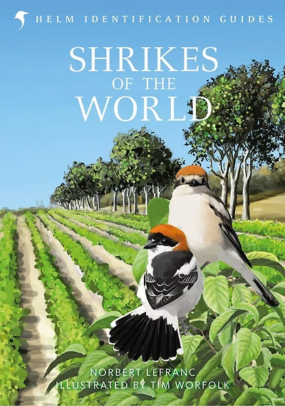 Shrikes OF THE World: BB/BTO BIRD BOOK YEAR