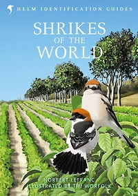 Shrikes OF THE World: BB/BTO BIRD BOOK YEAR