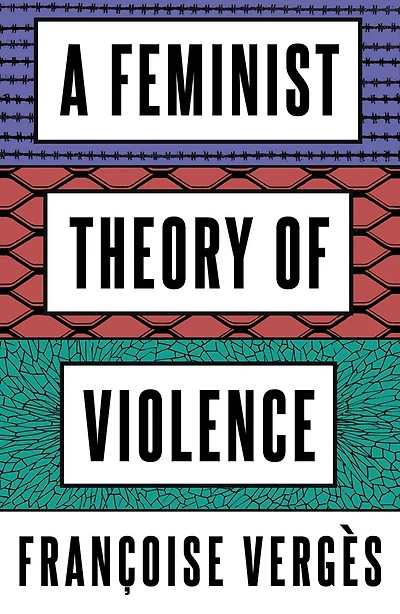 A Feminist Theory of Violence: Decolonial Perspective