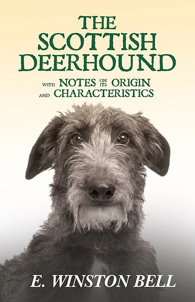 The Scottish Deerhound with Notes on Its Origin and Characteristics