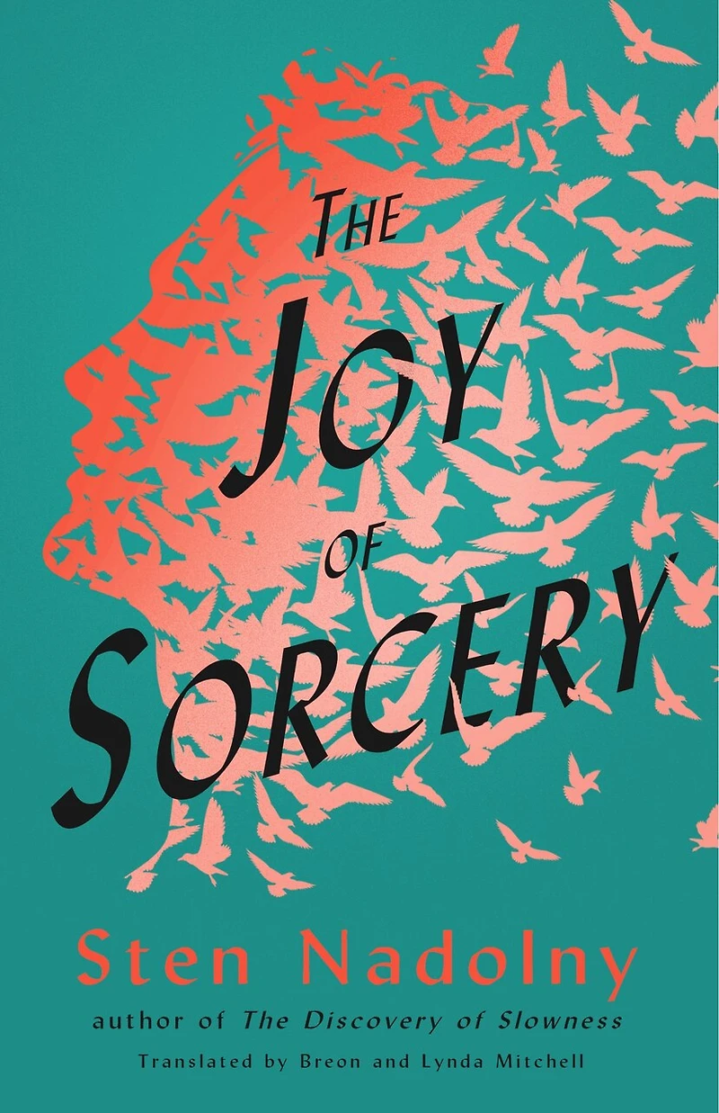 The Joy Of Sorcery