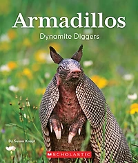Armadillos: Dynamite Diggers (Nature's Children)