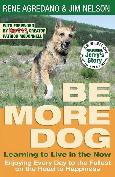 Be More Dog: Learning To Live In The Now