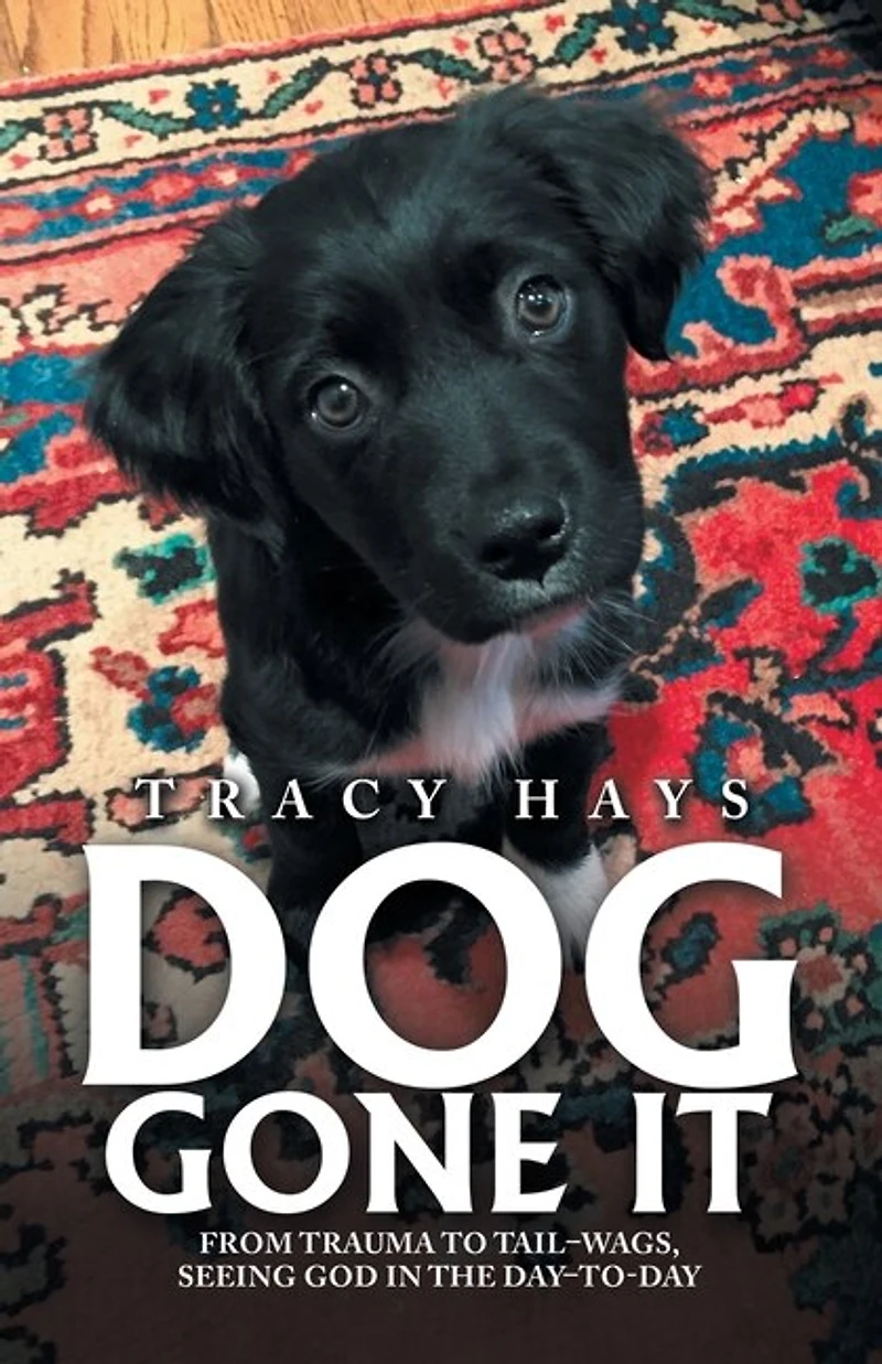 Dog Gone It: From Trauma to Tail-Wags, Seeing God the Day-To-Day