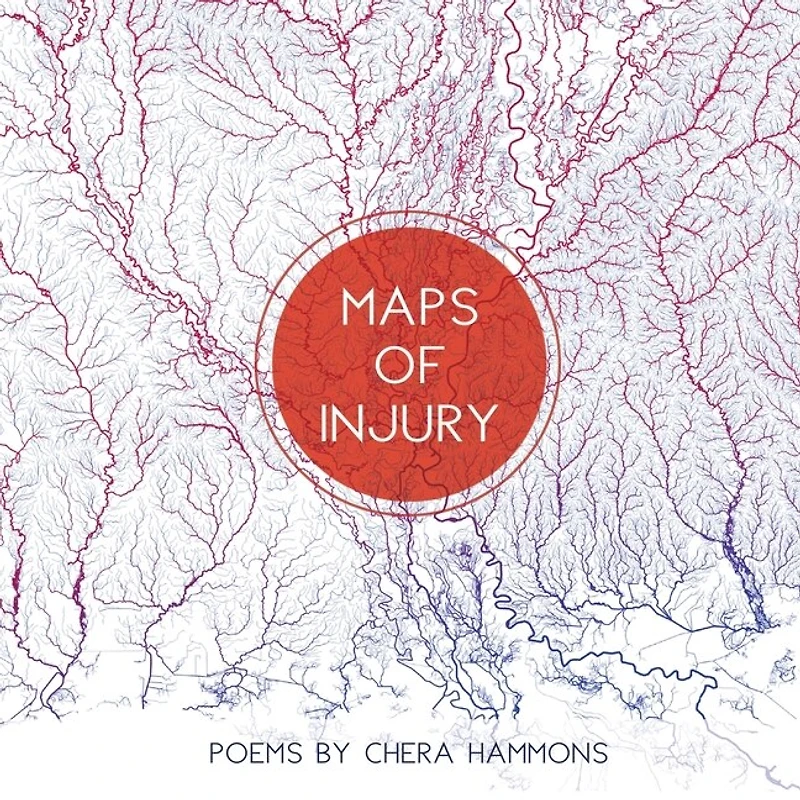Maps of Injury