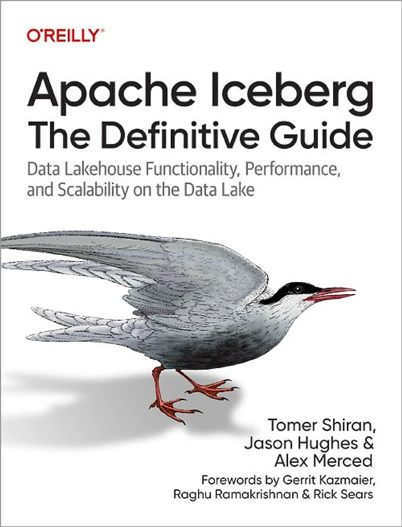 Apache Iceberg: the Definitive Guide: Data Lakehouse Functionality, Performance, and Scalability on Lake