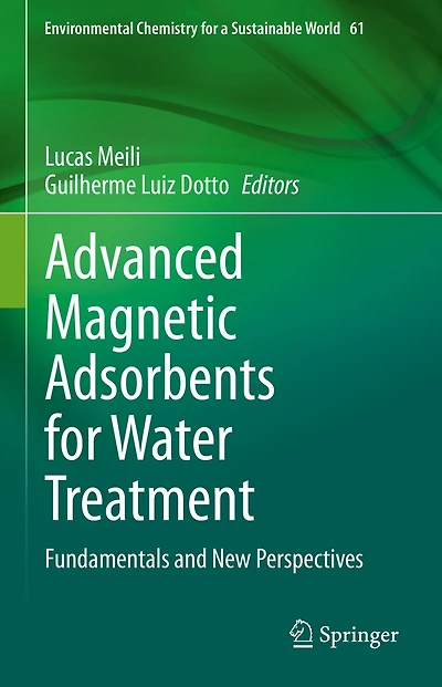 Advanced Magnetic Adsorbents for Water Treatment: Fundamentals and New Perspectives