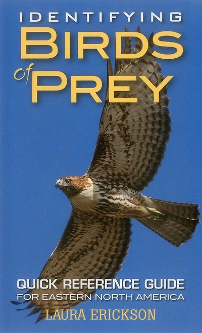 Identifying Birds Of Prey: Quick Reference Guide For Eastern North America