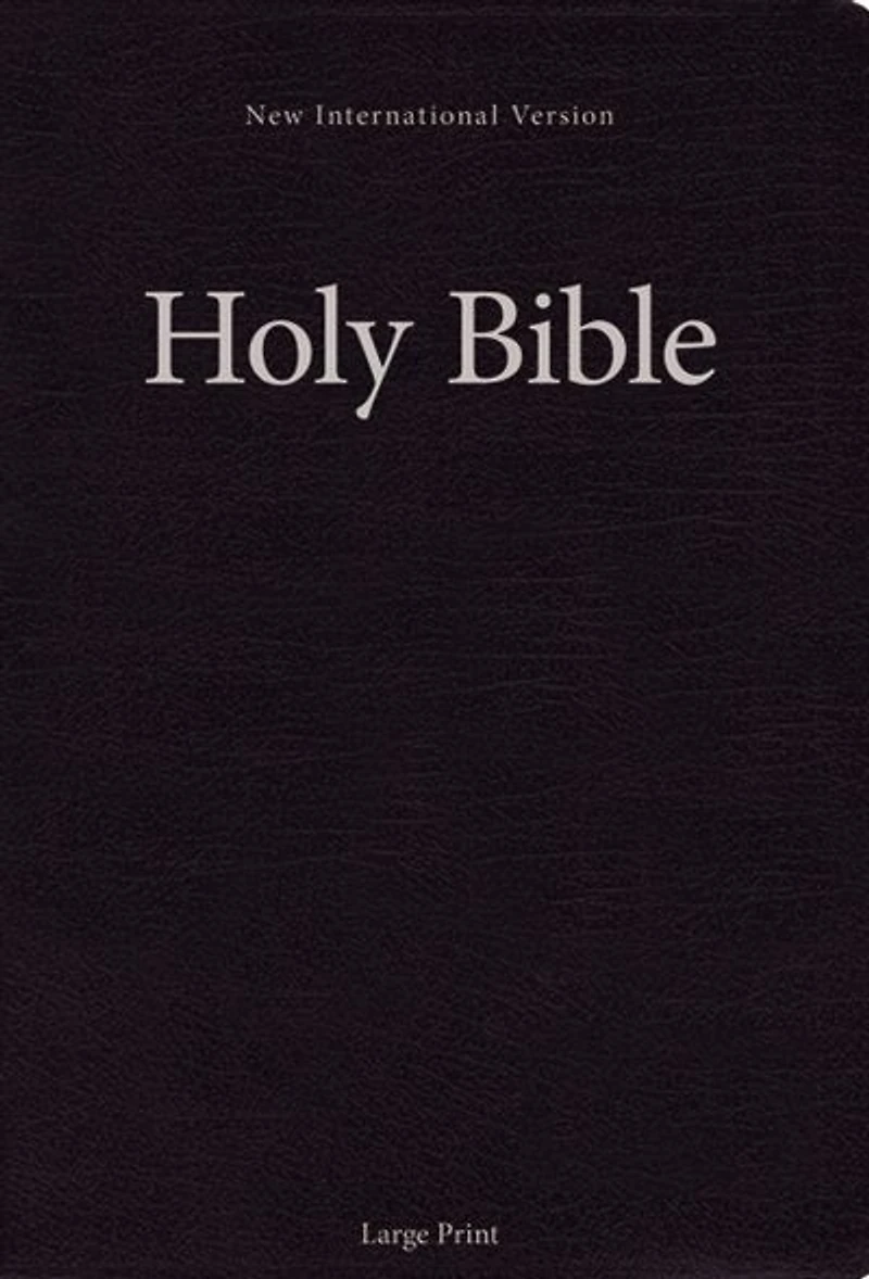 Niv, Holy Bible, Larger Print, Paperback