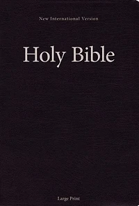 Niv, Holy Bible, Larger Print, Paperback