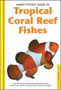 Handy Pocket Guide To Tropical Coral Reef Fishes