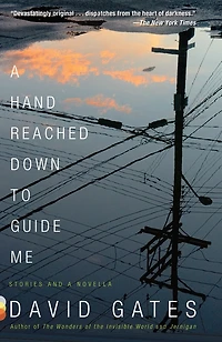 a Hand Reached Down to Guide Me: Stories and Novella