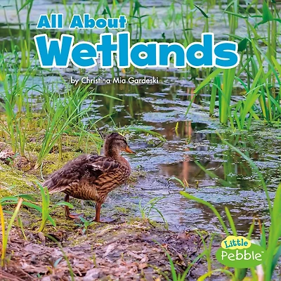 All About Wetlands