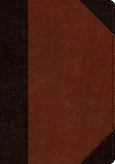 ESV Large Print Wide Margin Bible (TruTone, Brown/Cordovan, Portfolio Design)