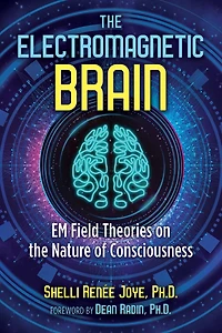 the Electromagnetic Brain: EM Field Theories on Nature of Consciousness