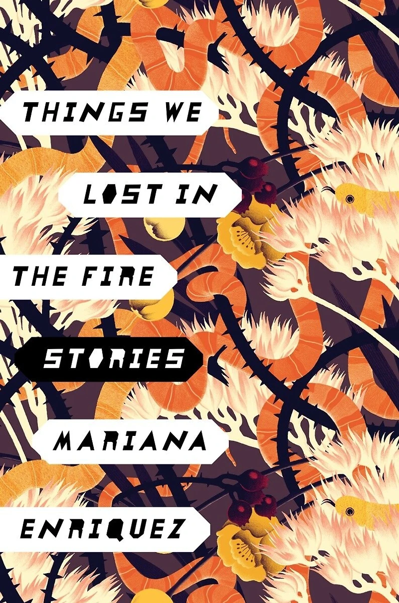 Things We Lost the Fire: Stories