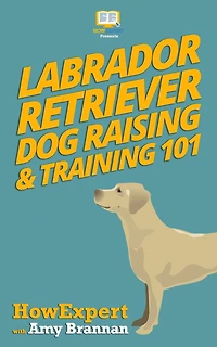 Labrador Retriever Dog Raising & Training 101