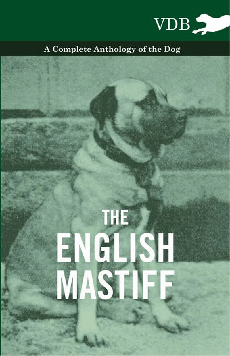 the English Mastiff - A Complete Anthology of Dog