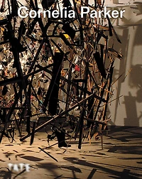 Cornelia Parker: Exploring Her Art and Craft